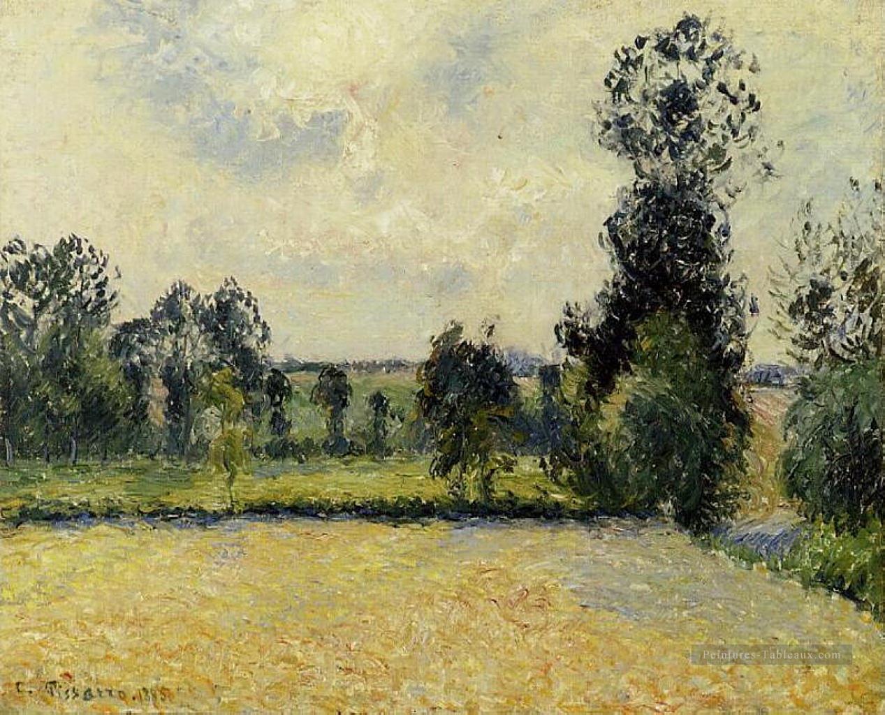 champ d’avoine à eragny 1885 Camille Pissarro paysage Peintures à l'huile